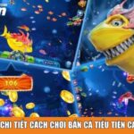 Hướng dẫn chi tiết cách chơi Bắn Cá Tiểu Tiên Cá tại 777win