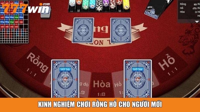 Kinh nghiệm chơi Rồng Hổ cho người mới