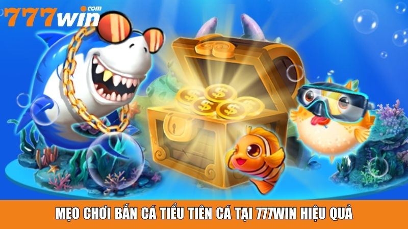 Mẹo chơi Bắn Cá Tiểu Tiên Cá tại 777win hiệu quả